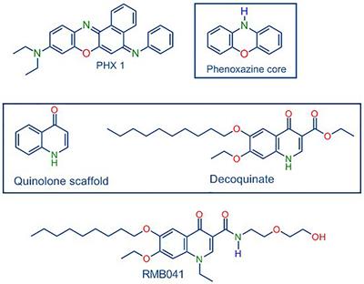 Accumulation of TB-Active Compounds in Murine Organs Relevant to Infection by Mycobacterium tuberculosis